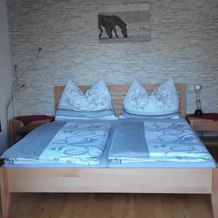 Steinberger Appartement Bischofshofen