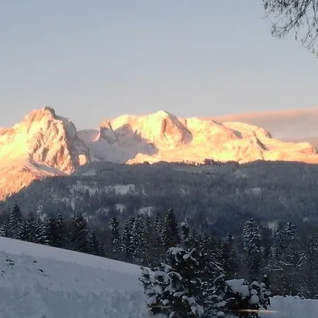 Appartement Steinberger