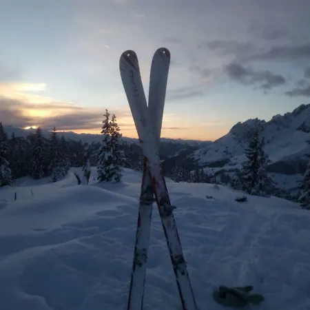Steinberger بيشوفشوفن