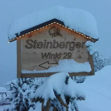 Steinberger *