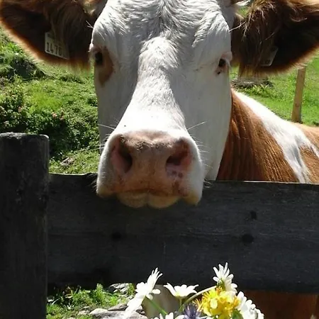 Steinberger Bischofshofen