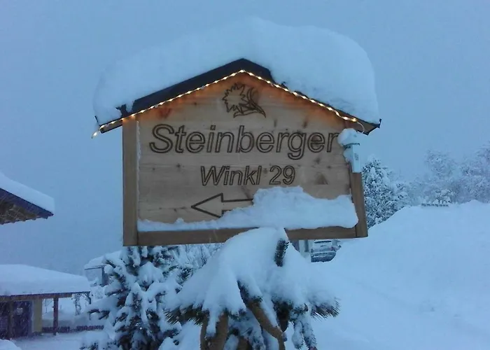 Steinberger *